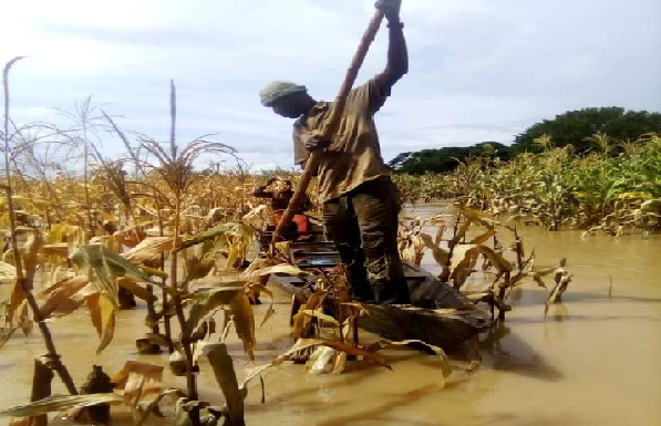 Some farmers in a canoe attempting to salvage their crops