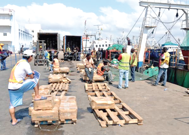 Trawl vessels unloading at the Tema Port. PHOTO CREDIT EJF