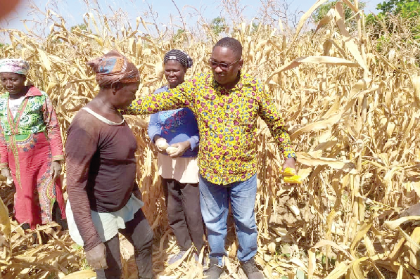 Ensuring food security -Smallholder farmers hold key