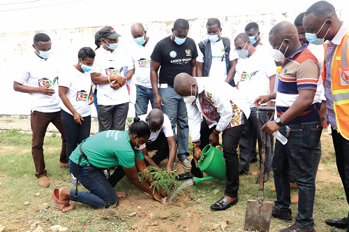 Mr Nii Adjei Sowah (bent), Mayor of Accra, being supported by Mr David Andoh (arrowed) to water a seedling to mark World Photography Day in Accra. Picture: SAMUEL TEI ADANO