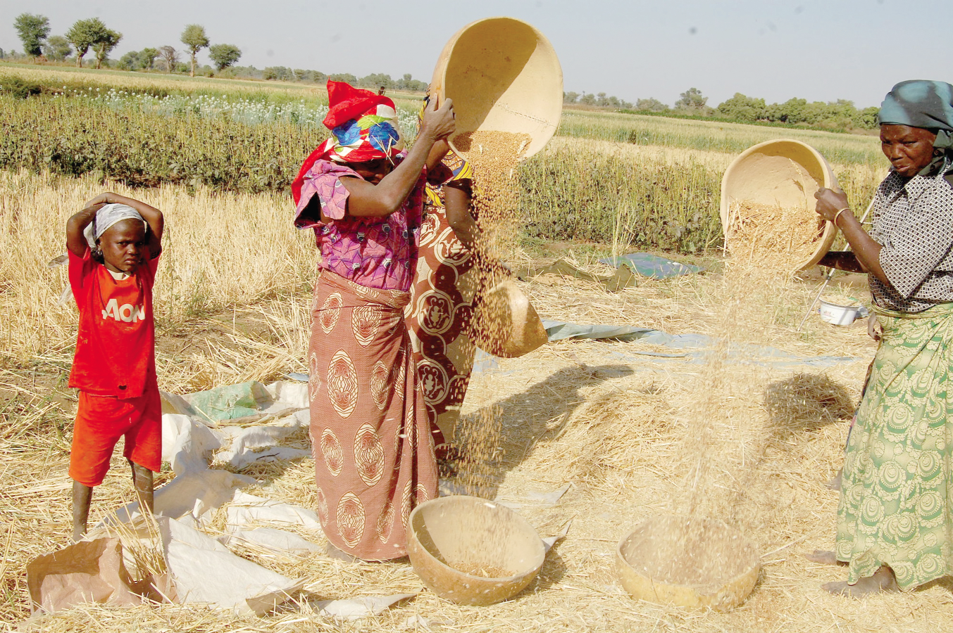 Farmers, agribusinesses to receive US$2.63m COVID-19 support