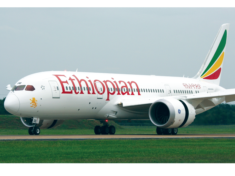 Ethiopian's sleeping pilots suspended