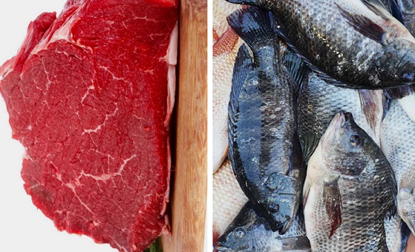 Fish or meat, which is better?