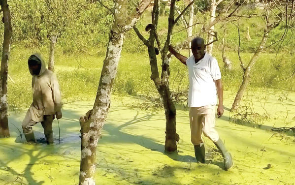 Mr Abraham Kofoya-Tetteh (right) on the flooded farm with one of his farm hands