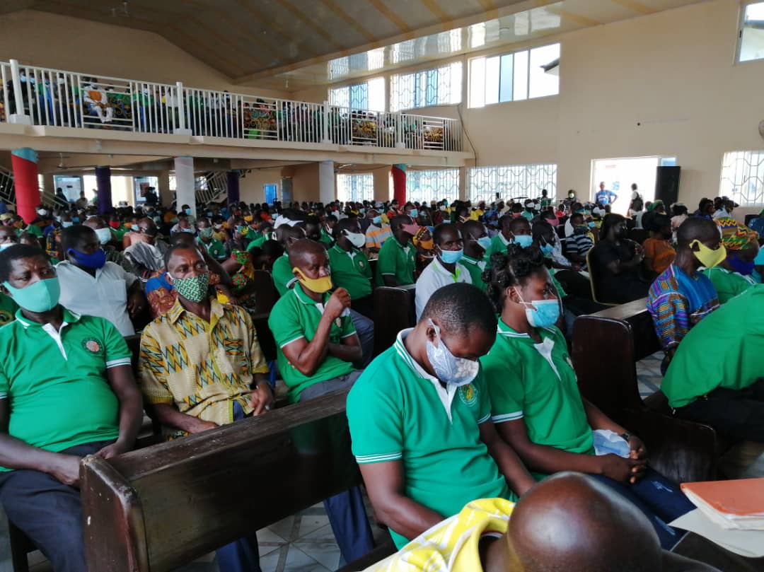 Report signs of swollen shoot disease - COCOBOD advises 