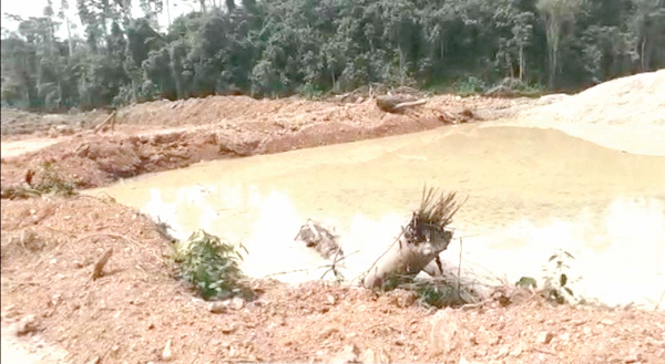 ‘Galamsey’ activities in Western North worrying— Forestry Commission
