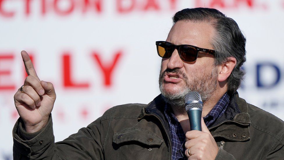 Mr Cruz says an audit would improve "faith in the electoral process"