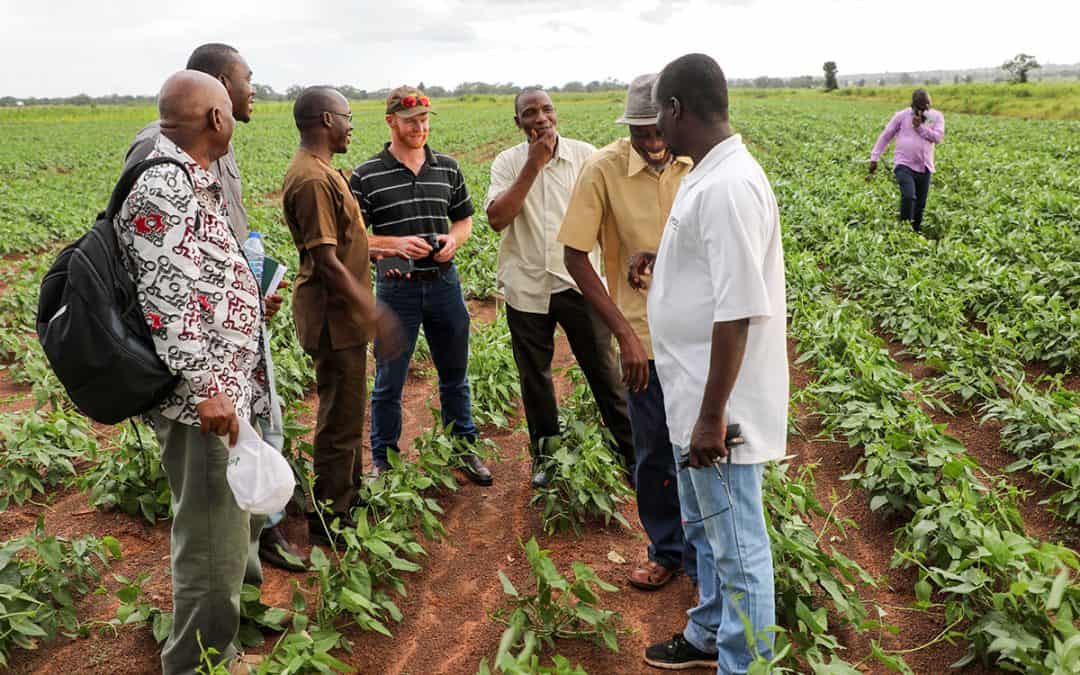 Farming is a lucrative venture