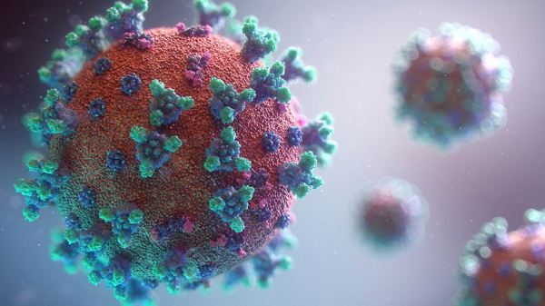 COVID-19: This contagion is shattering lives