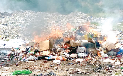 FDA destroys unwholesome products in C/R