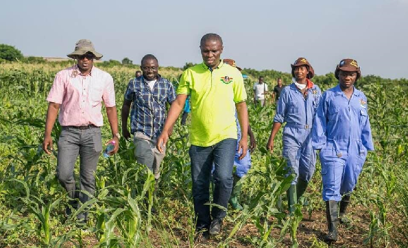Mr Mustapha Ussif, Executive Director of NSS, on an inspection tour of one of the Scheme's maize farms.