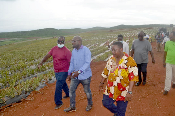 Mr Frederick kobbyna Acquaah (left), Director of Operations of the factory,   interacting with journalists during a tour of one of their farms.