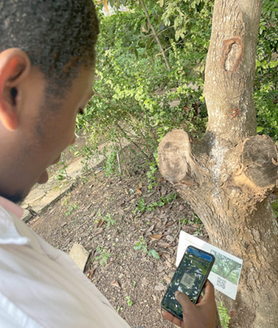  A student scans A QR Code on a plant for information