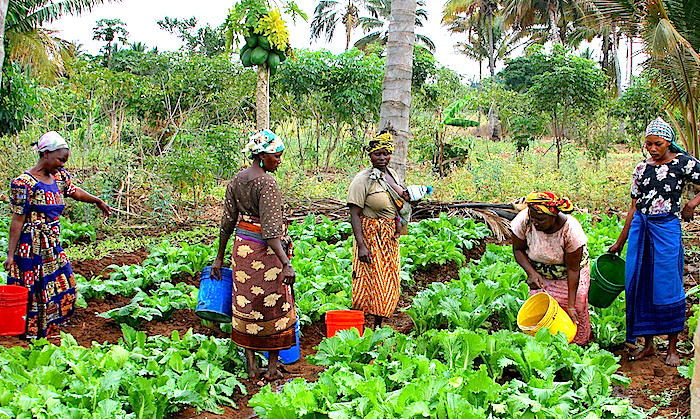 Inequality in agriculture makes it harder to increase productivity and reduce poverty and hunger. 