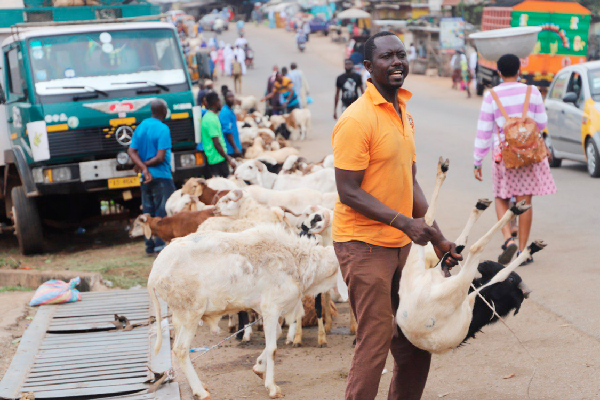 A livestock dealer at one of the many temporary markets created along the street, tries to solicit for patronage