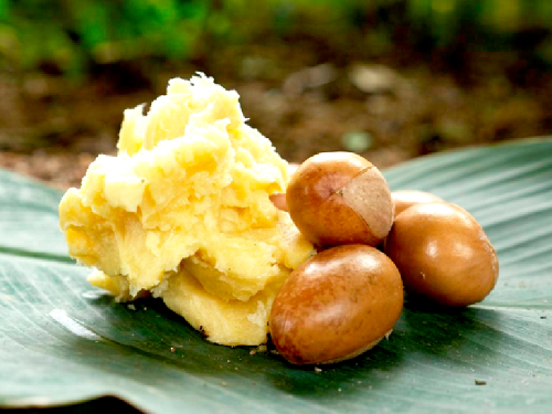 Shea nuts and its butter