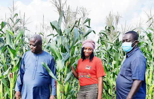 Mr Amenga (left), acting Bono Regional Director of Agriculture, inspecting a maize farm under the Planting for Food and Jobs programme