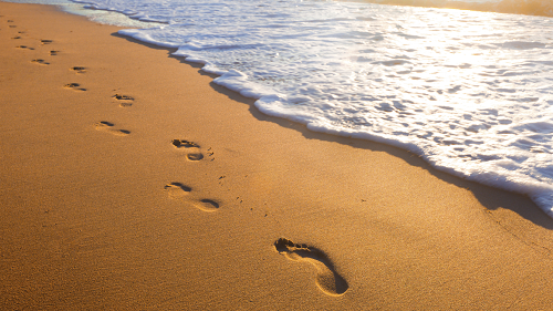  No one goes through life without leaving footprints