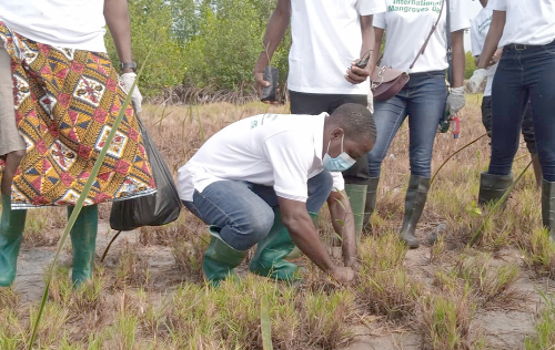 Stakolders from the Forestry Commission,  IUCN, some members of the communities planting trees at the Atiteti mangrove site