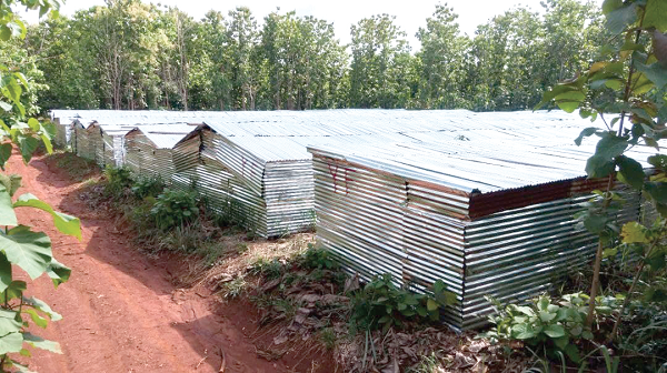 The aluminium sheet homes built by residents in the mining zones. Picture: DELLA RUSSEL OCLOO