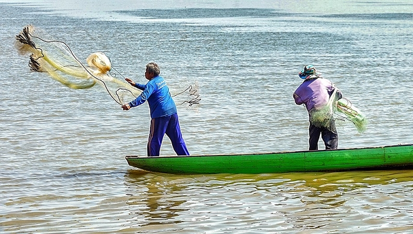 EU threatens to ban fish from Ghana