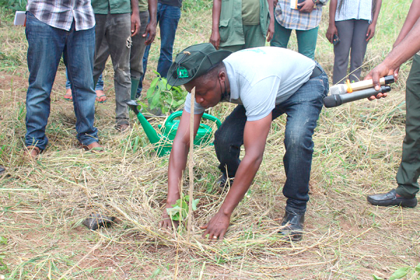 Mr Francis Brobbey, the Sunyani District Manager of the FSD, demonstrating the proper way of planting a tree to survive, irrespective of the weather
