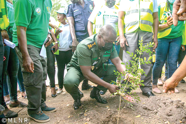 Mr Samuel Abu Jinapor, the Minister of Lands and Natural Resources, planting a tree at the ministry last Friday