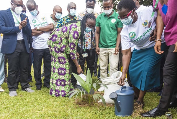 Green Ghana Project: KNUST plants 2,000 trees