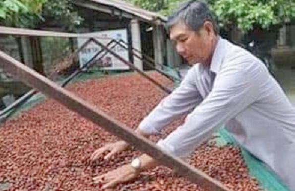 Last October, China announced it has successfully made its first-ever cocoa beans export to Belgium; grown in the South China island province of Hainan.