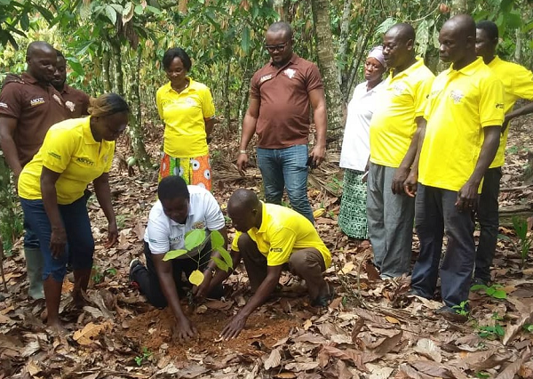 Green Ghana Day: Cocoa Abrabopa Association plants 1,500 trees