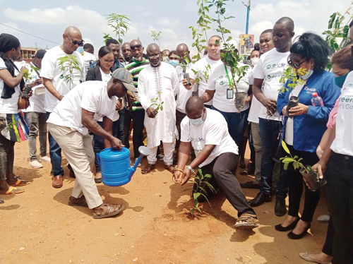 Nii Annan Adjor (squatting), acting Chief of Ashaiman, planting one of the tree seedlings