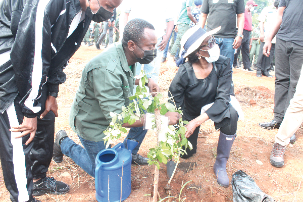 • Nana Konadu Agyeman-Rawlings planting a seedling during the tree planting exercise at the Achimota School in Accra.
