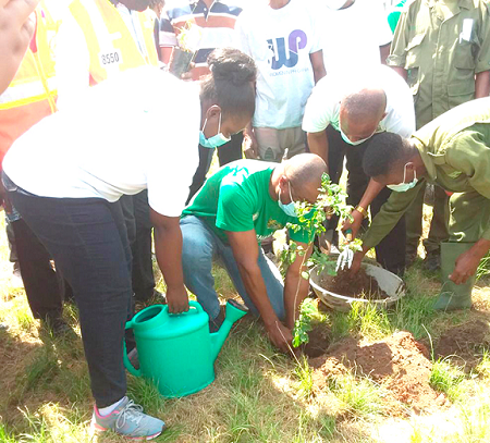 The Vice Chancellor of UESD, Prof. Eric Nyarko-Sampson, being assisted by some of the workers to plant trees on the campus   