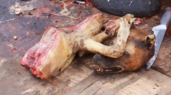 Dog meat shortage hits Sandema market