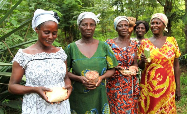 Celebrating the Ghanaian woman - Vimarsana News