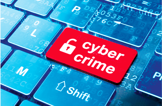 COVID-19, sharp rise in cyber crime