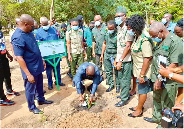 Mr Jinapor planting a tree on the premises of the head office of the Forestry Commission. Those with him are Mr John Allotey (left), the Chief Executive of the FC, the directors of the various divisions of the commission, as well as Mrs Joyce Ofori-Kwafo (2nd right), the Public Affairs Director