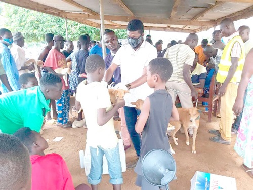 Dr Suu-Ire vaccinating dogs at an event to mark  World Rabies Day last year