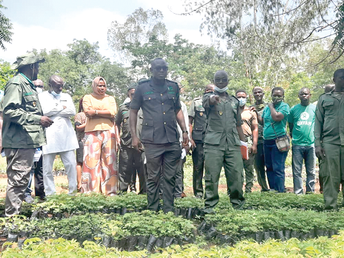 Mr Karim Bukari (right), Tamale District Manager, Forestry Commission, conducting Mr Sulemana Nyadia Nelson, Deputy CEO of the commission, and other officials around the nurseries