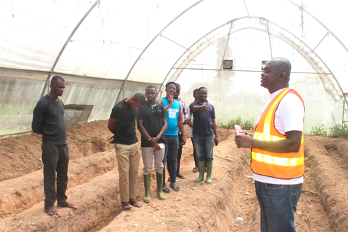 Mr Emmanuel Kofi Agyeman (right), the Dormaa East District Chief Executive, interacting with members of a  youth group engaged in green house farming at Wamfie