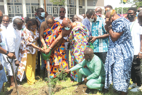  Ms Elizabeth Kwatsoe Tawiah Sackey (2nd from left), Chief Executive Officer of AMA, King Tackie Teiko Tsuru II (4th from right), the Ga Mantse, and Nii Ahene Nunoo II (3rd right), Abola Mantse, watering a tree seedling after planting. Picture: ESTHER ADJEI