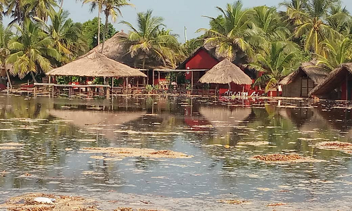 Tidal waves: Anlo Traditional Council takes steps