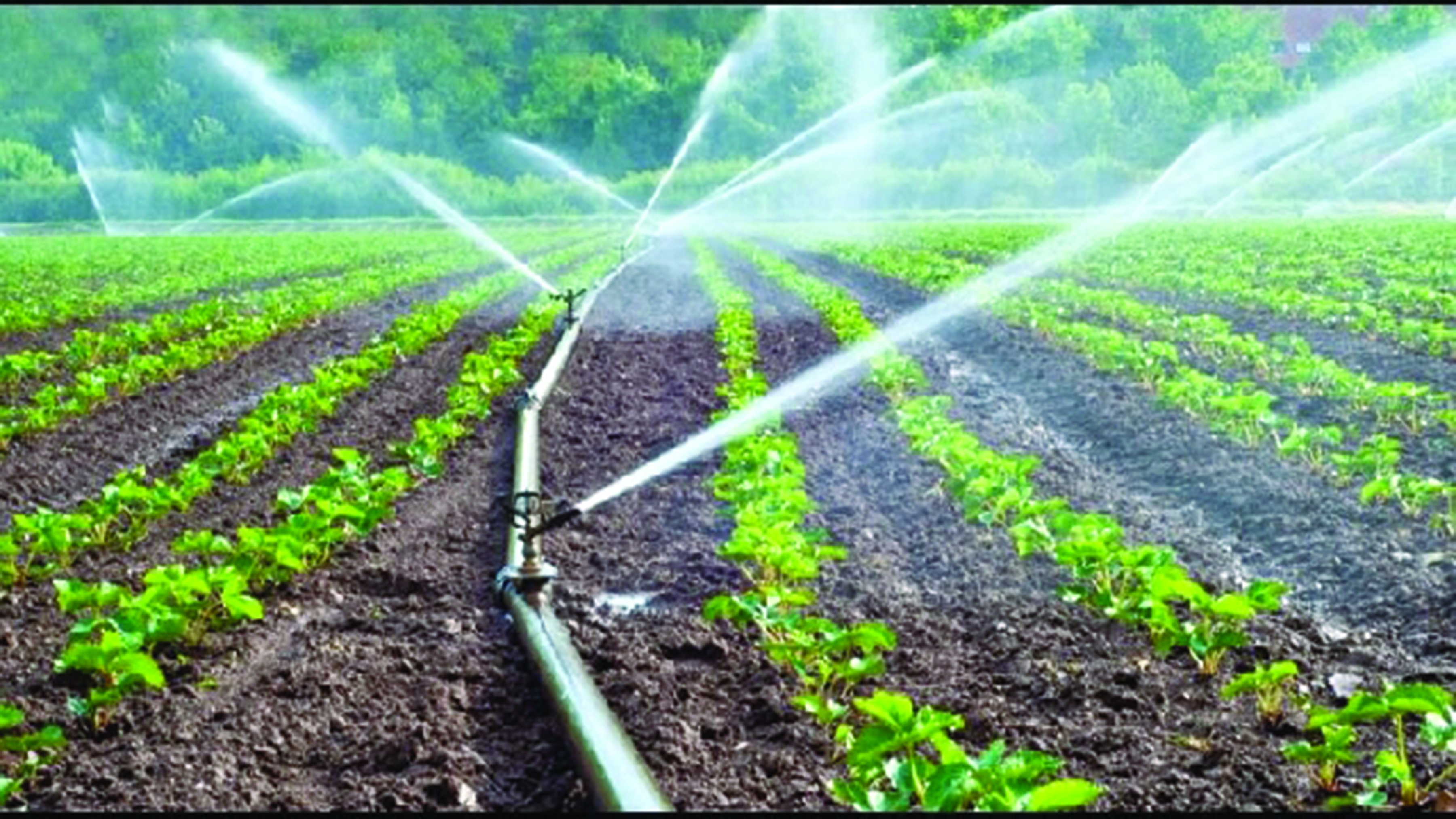 Experts say irrigation facilities help farmers to improve productivity