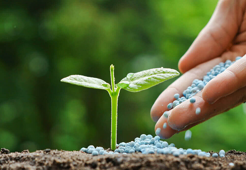 Fertiliser shortage requires innovation
