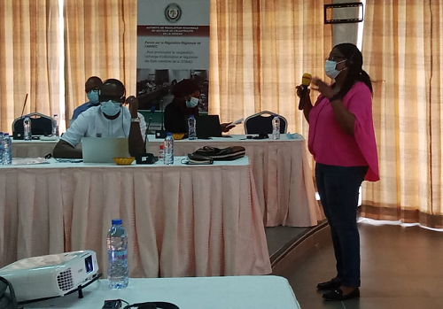 A Senior Expert in Energy Regulation under the EU-funded Technical Assistance Programme to ECOWAS towards improving governance in the ECOWAS Energy sector, Mrs Ifey Ikeonu, making her presentation at the workshop