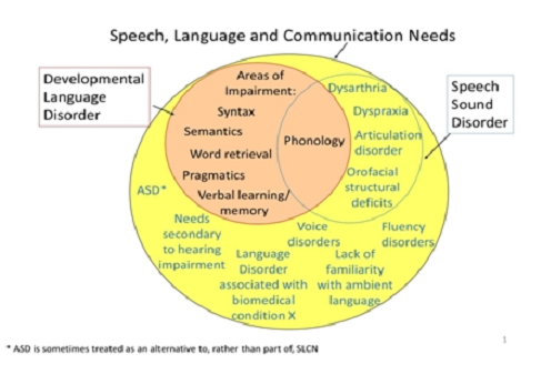 Speech sound disorders