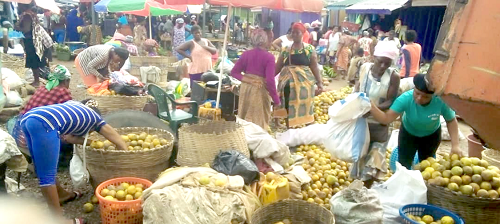 Some orange sellers getting ready for business at the Agartha market