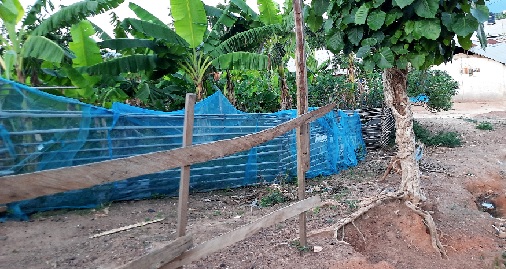 Some use the nets as fences for their backyard gardens