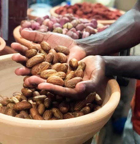 Bitter kola nuts are now on high demand