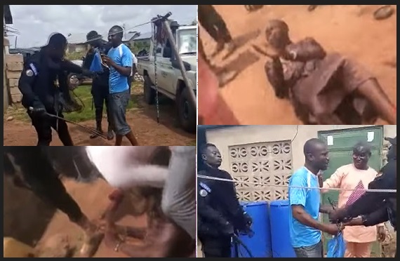 Scenes captured in the viral video during the anti-power theft thought to have sparked the demonstration